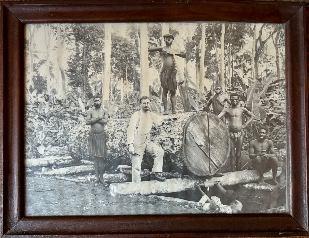 L’exploitation forestière au temps des colonies 