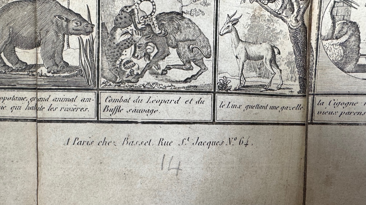Jeu de l’oie , histoire naturelle des animaux 1815-photo-5