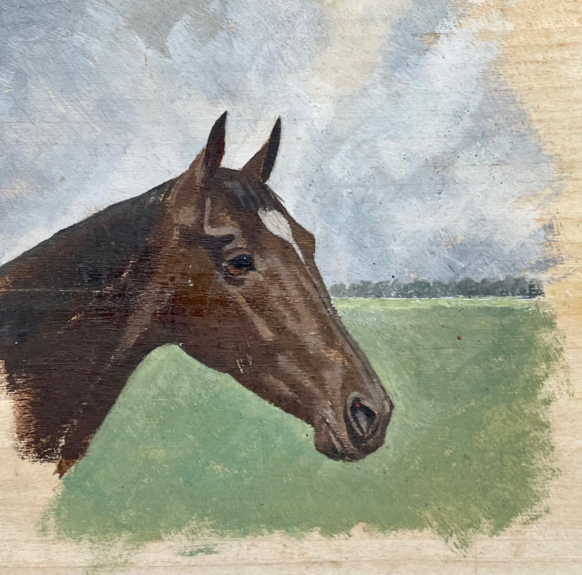 Étude De Tête De Cheval -photo-2