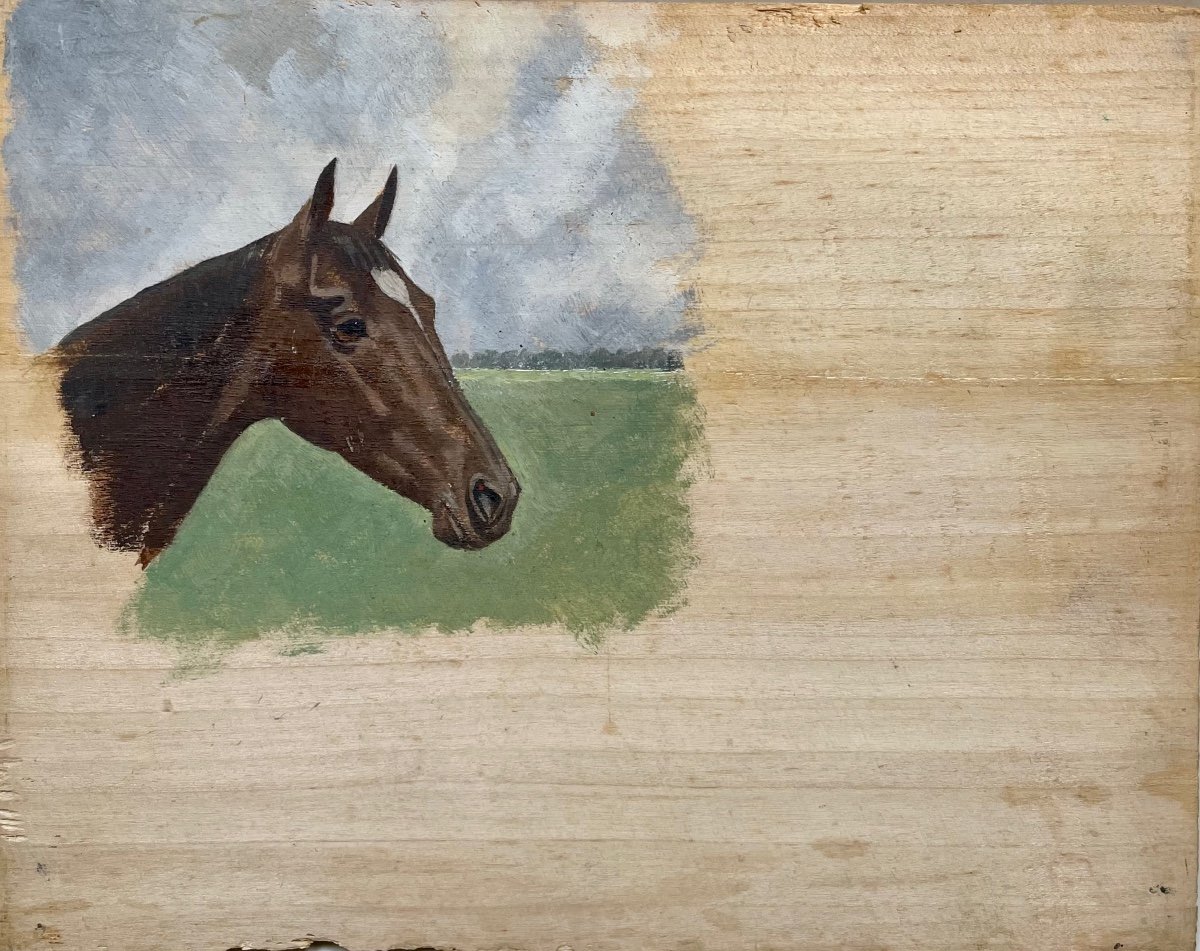 Étude De Tête De Cheval 