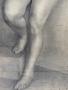 1794346-alb-6a572cf4365d4.jpg