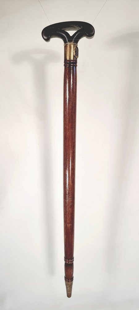 Violin Cane-photo-2