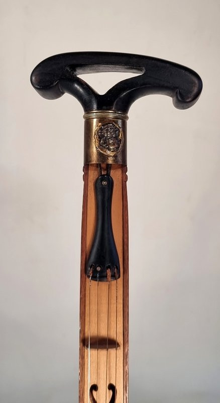 Violin Cane-photo-3