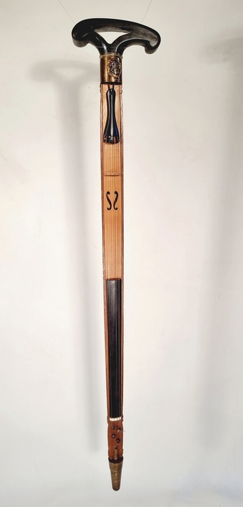 Violin Cane