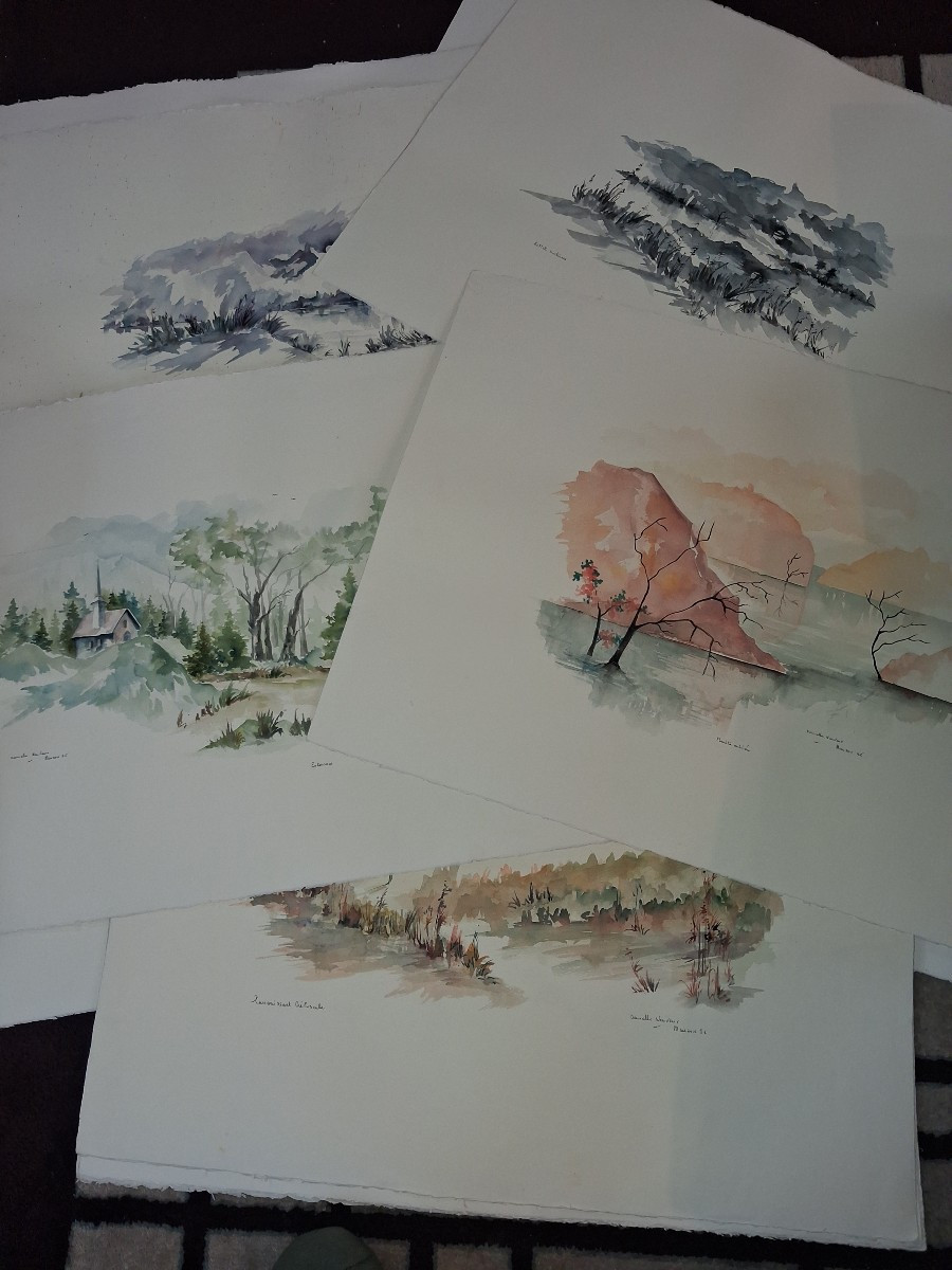 25 Aquarelles par Danielle Neuveux datée Manzon 86-photo-2