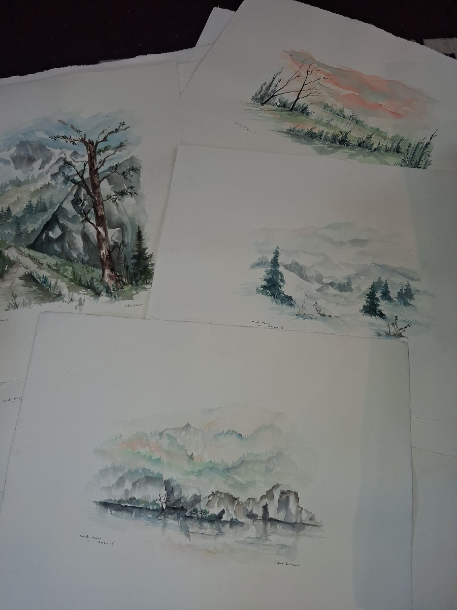 25 Aquarelles par Danielle Neuveux datée Manzon 86-photo-3