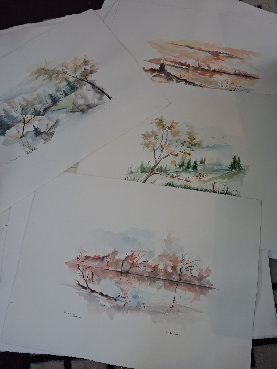 25 Aquarelles par Danielle Neuveux datée Manzon 86-photo-4