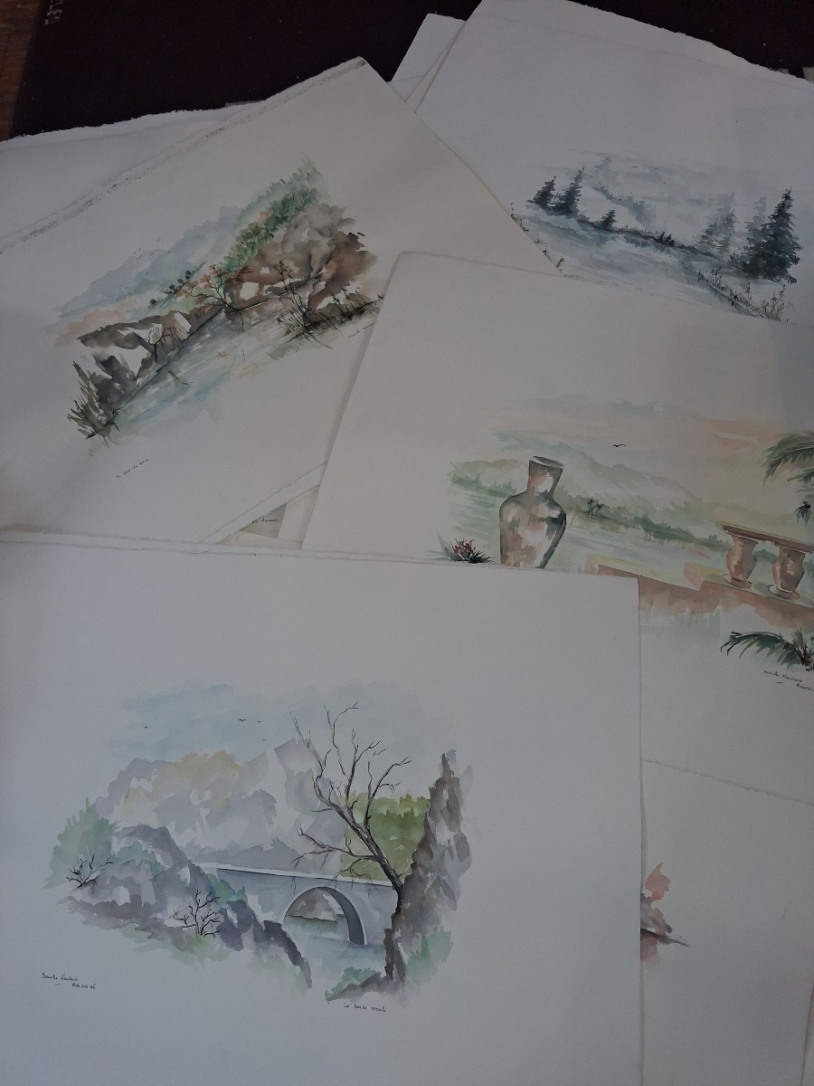 25 Aquarelles par Danielle Neuveux datée Manzon 86-photo-1