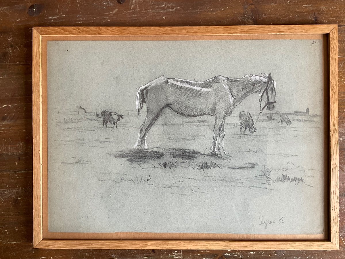 Dessin De Wislin Cheval Et Vaches 1882-photo-3