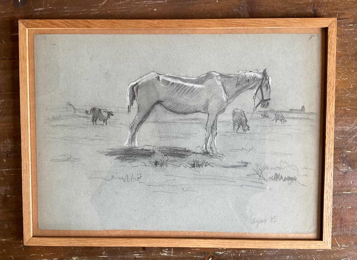 Dessin De Wislin Cheval Et Vaches 1882