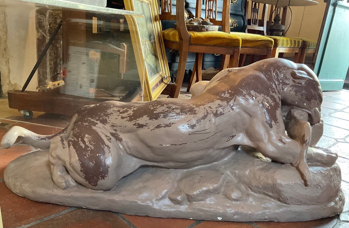 Plaster Of Barye Feline With Hare School Of Fine Arts Of The North-photo-3