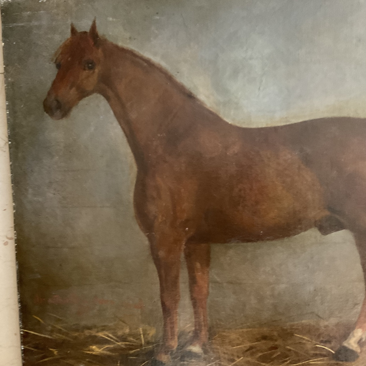 Portrait De Cheval1877-photo-2