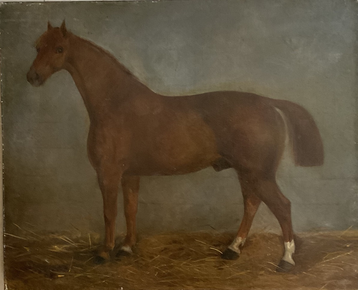 Portrait De Cheval1877-photo-3