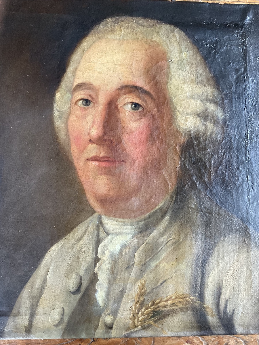 Portrait d’homme XVIIIe à l’épi de blé -photo-4