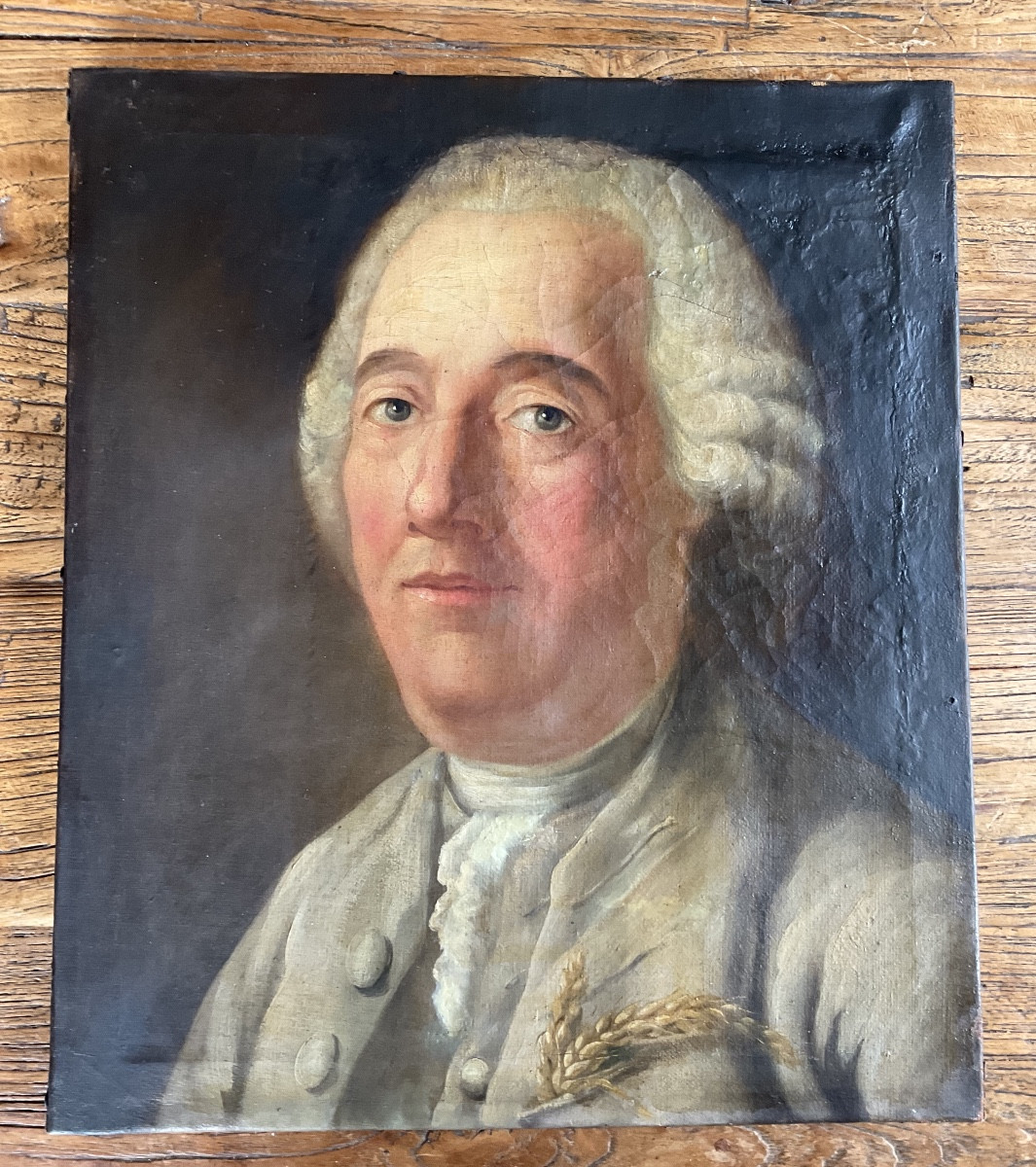 Portrait d’homme XVIIIe à l’épi de blé 