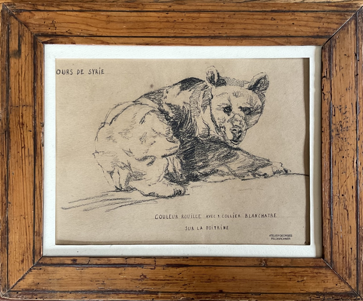 Drawing Of A Bear By Georges Feldkirchner (1885/1952)-photo-1