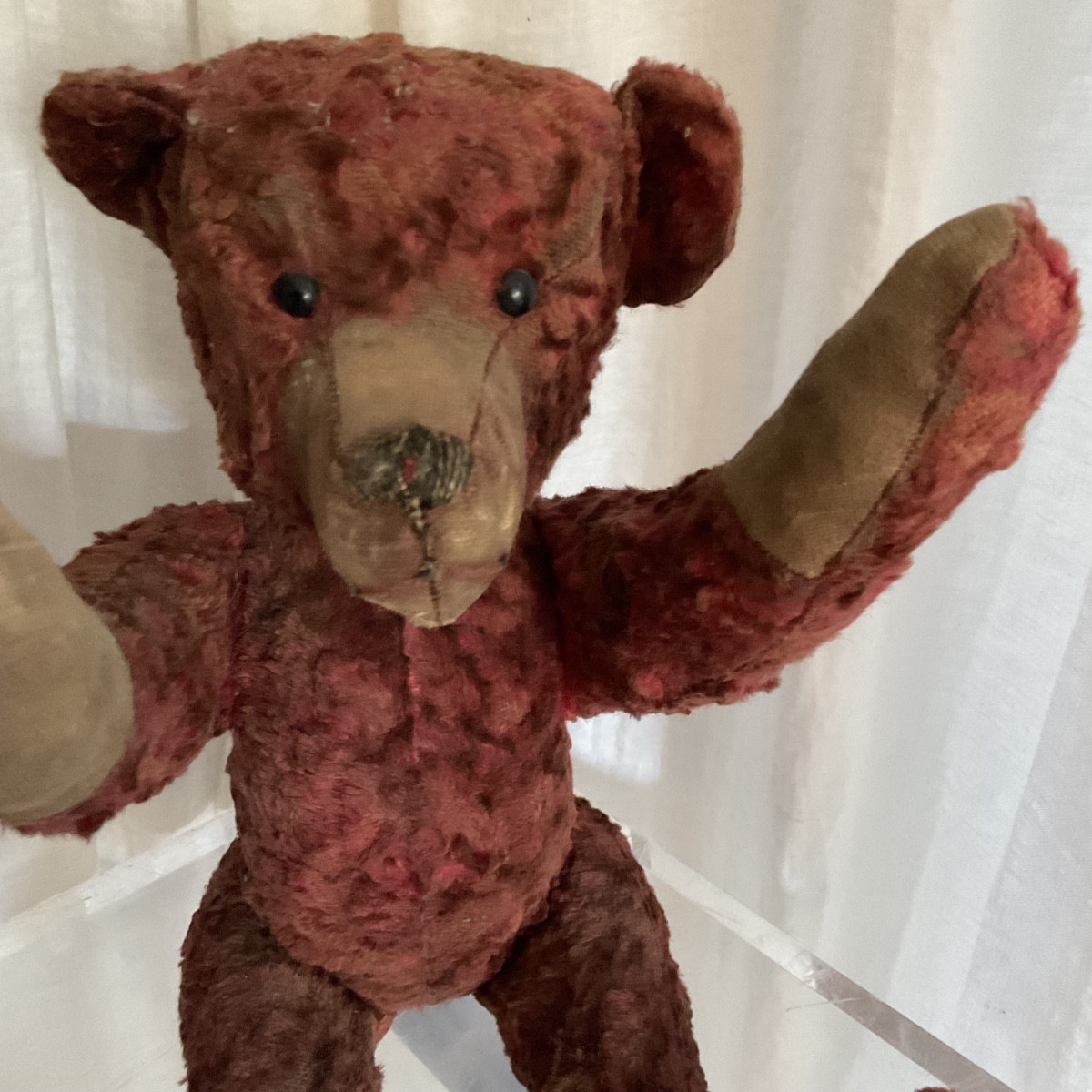 Très ancien ours en peluche XIXe dernier de la collection -photo-2