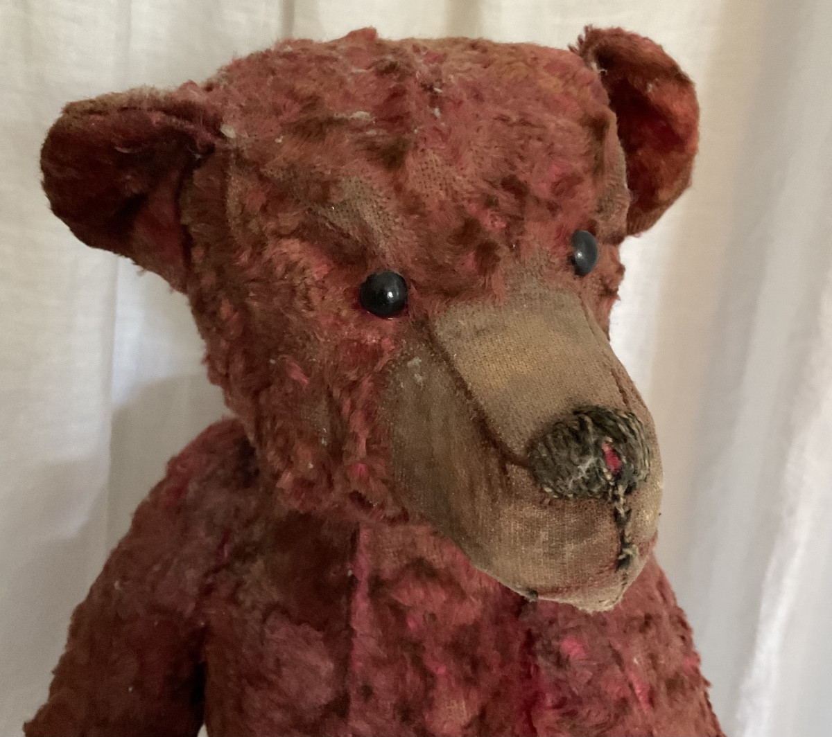 Très ancien ours en peluche XIXe dernier de la collection 