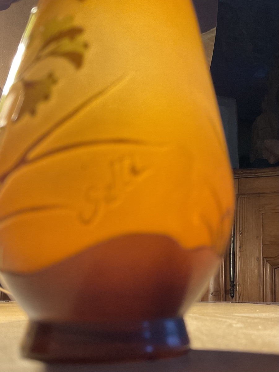 ( établissements) E mile Galle  vase balustre)-photo-1