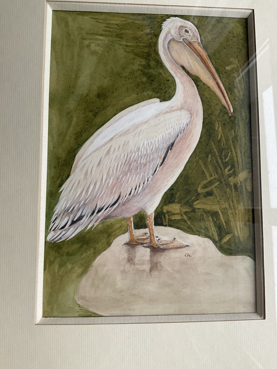 Paire de cadres oiseaux signes -photo-2