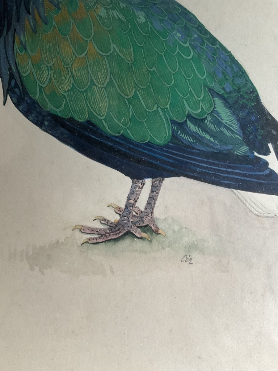 Paire de cadres oiseaux signes -photo-1