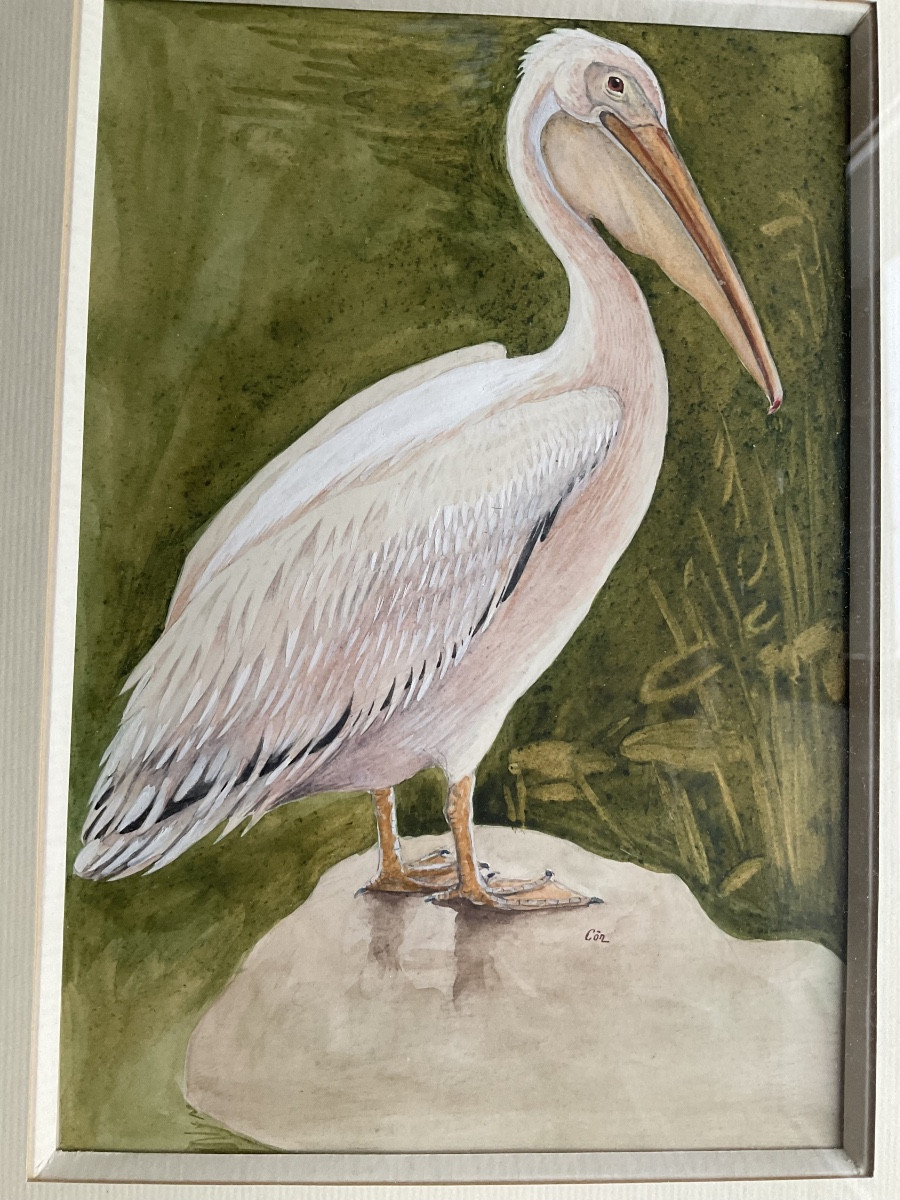 Paire de cadres oiseaux signes -photo-4