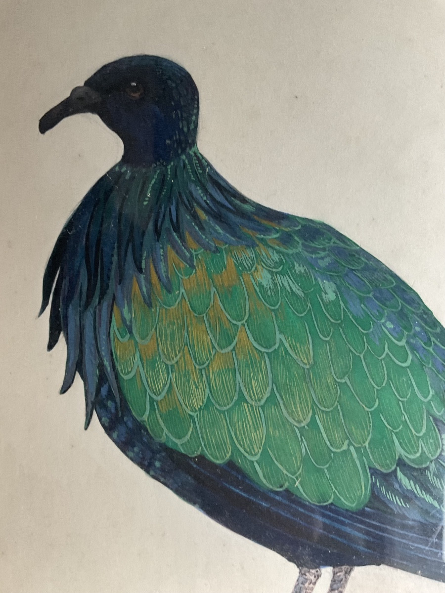 Paire de cadres oiseaux signes -photo-5