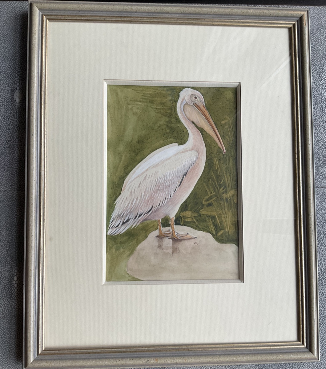 Paire de cadres oiseaux signes 