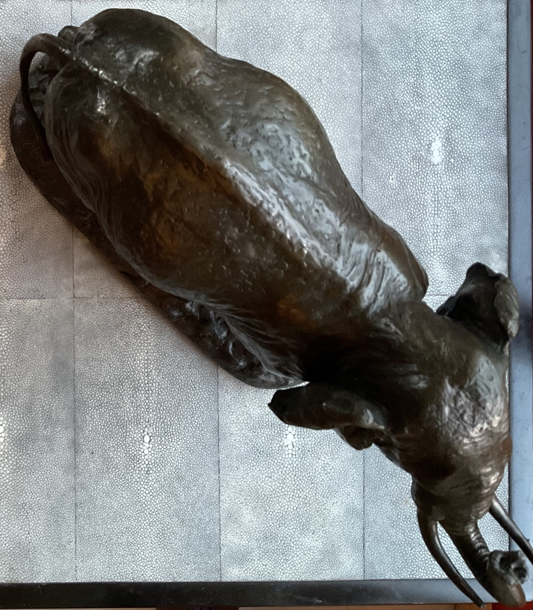 Elephant bronze signe-photo-6
