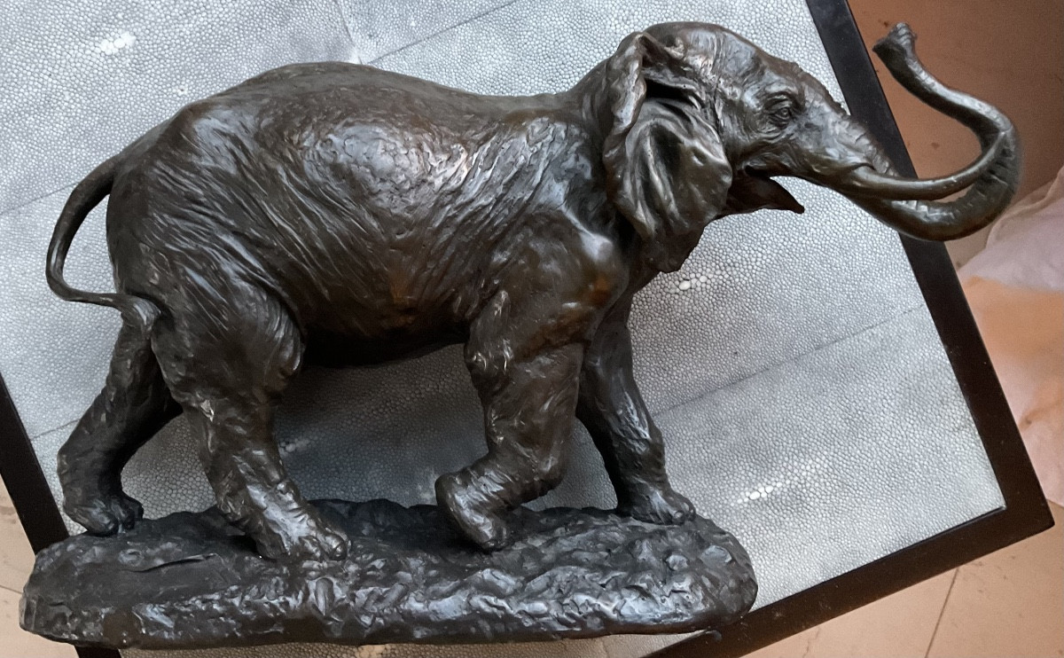 Elephant bronze signe