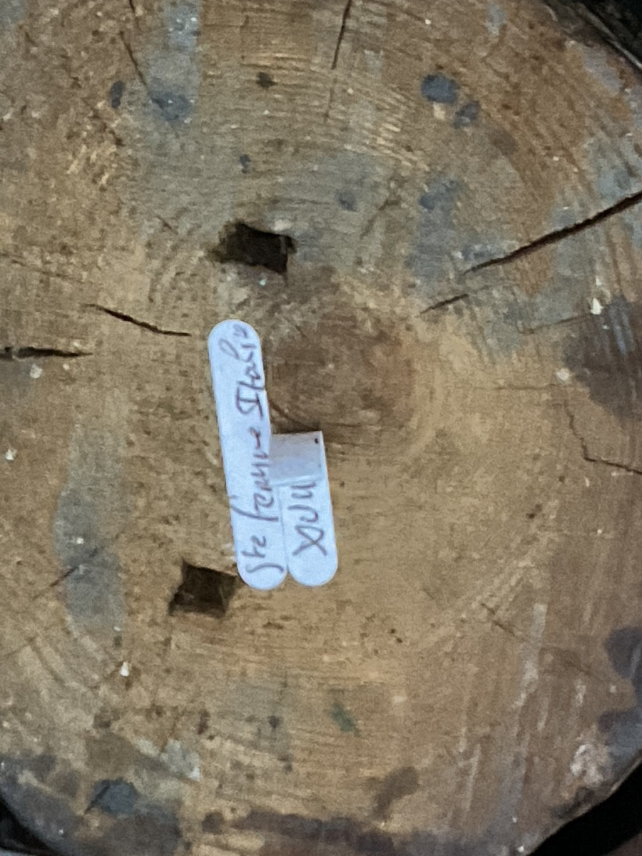 Holy Woman In Wood, 18th Century-photo-5