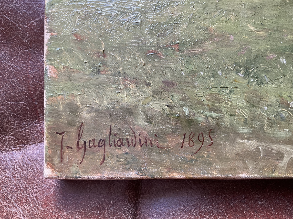 Gagliardini 1895  château en Italie-photo-1