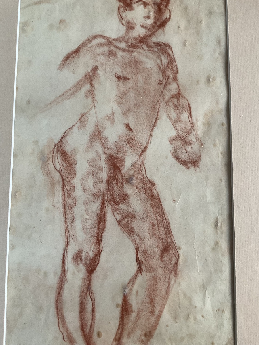 Sanguine Madeleine Aimee-photo-3