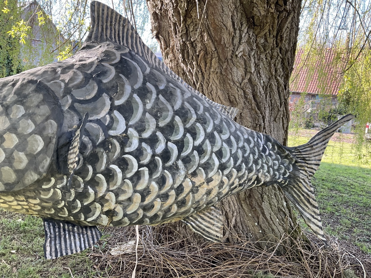 Très gros poisson exposition internatinale de Paris 180cm-photo-1