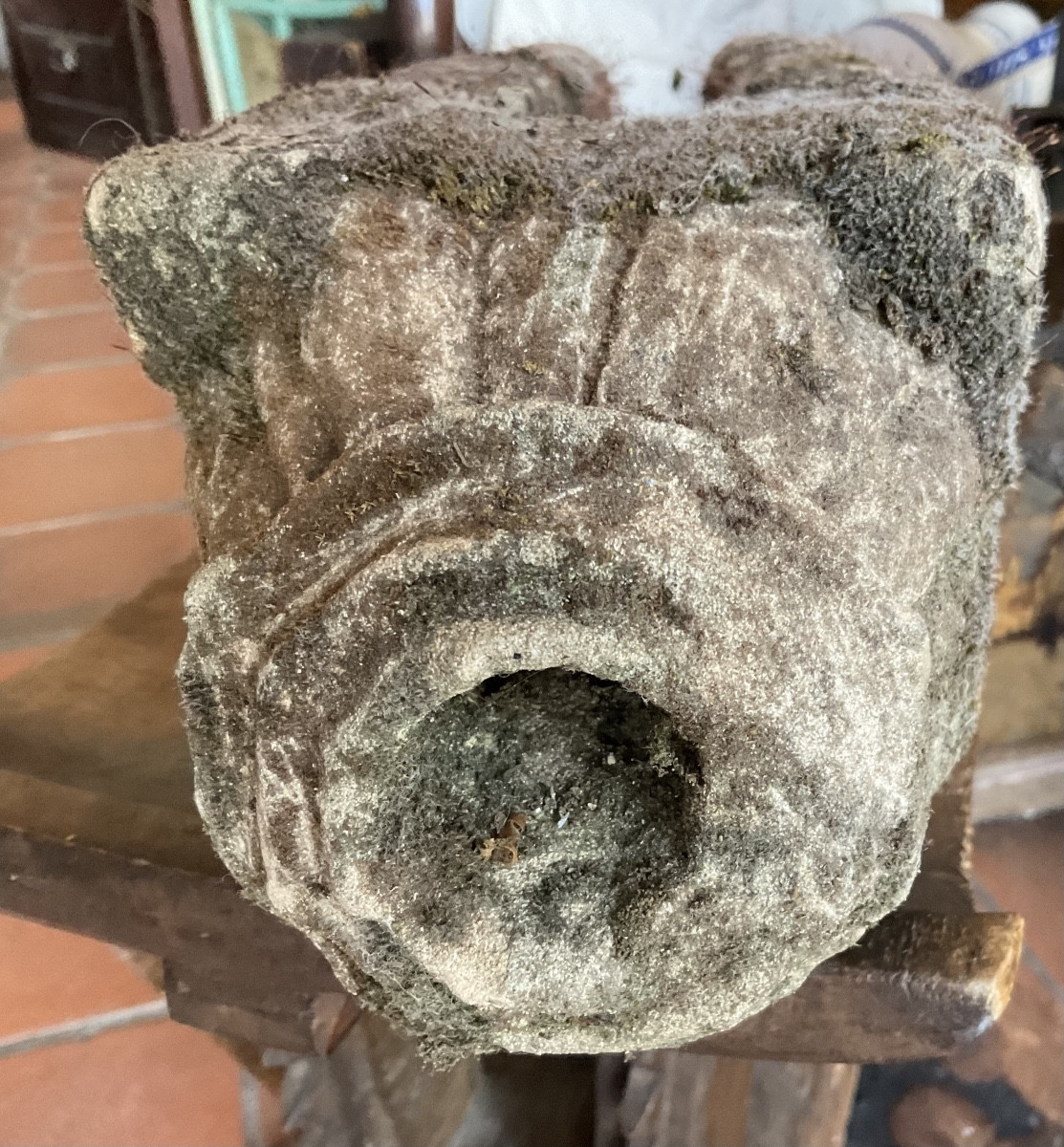 Pig Gargoyle Northern France-photo-2