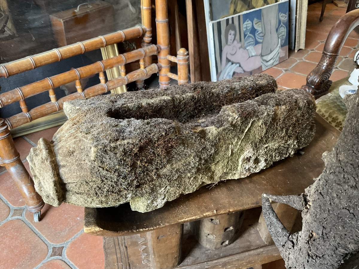 Pig Gargoyle Northern France-photo-3