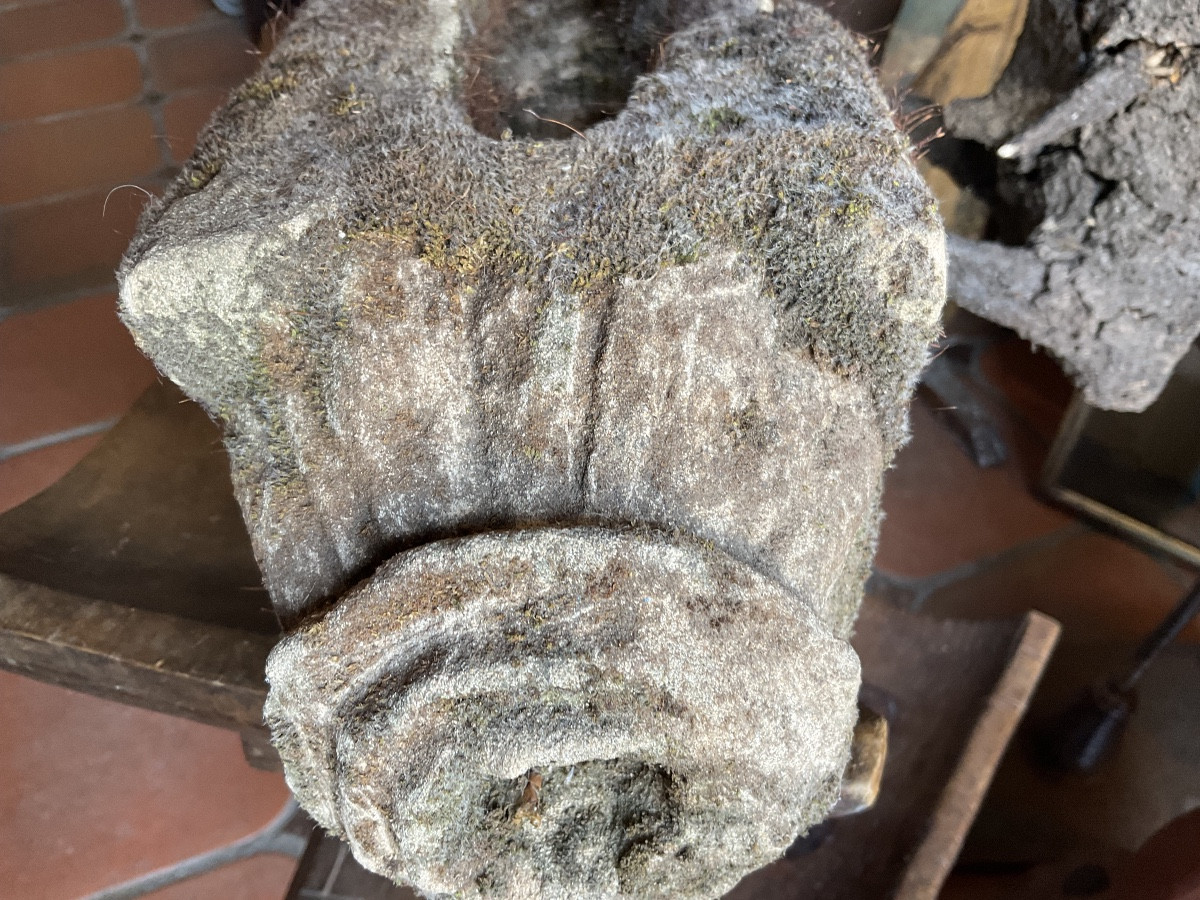 Pig Gargoyle Northern France-photo-4