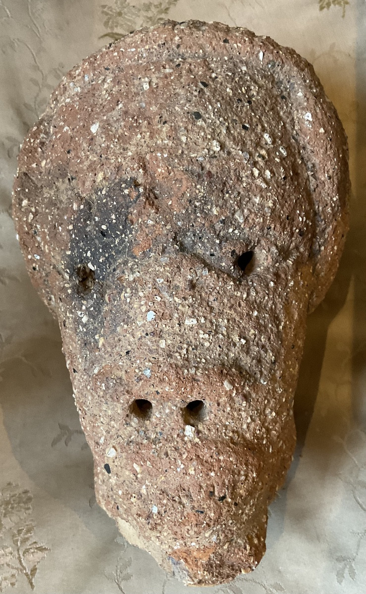 Tête Nok terre -photo-2