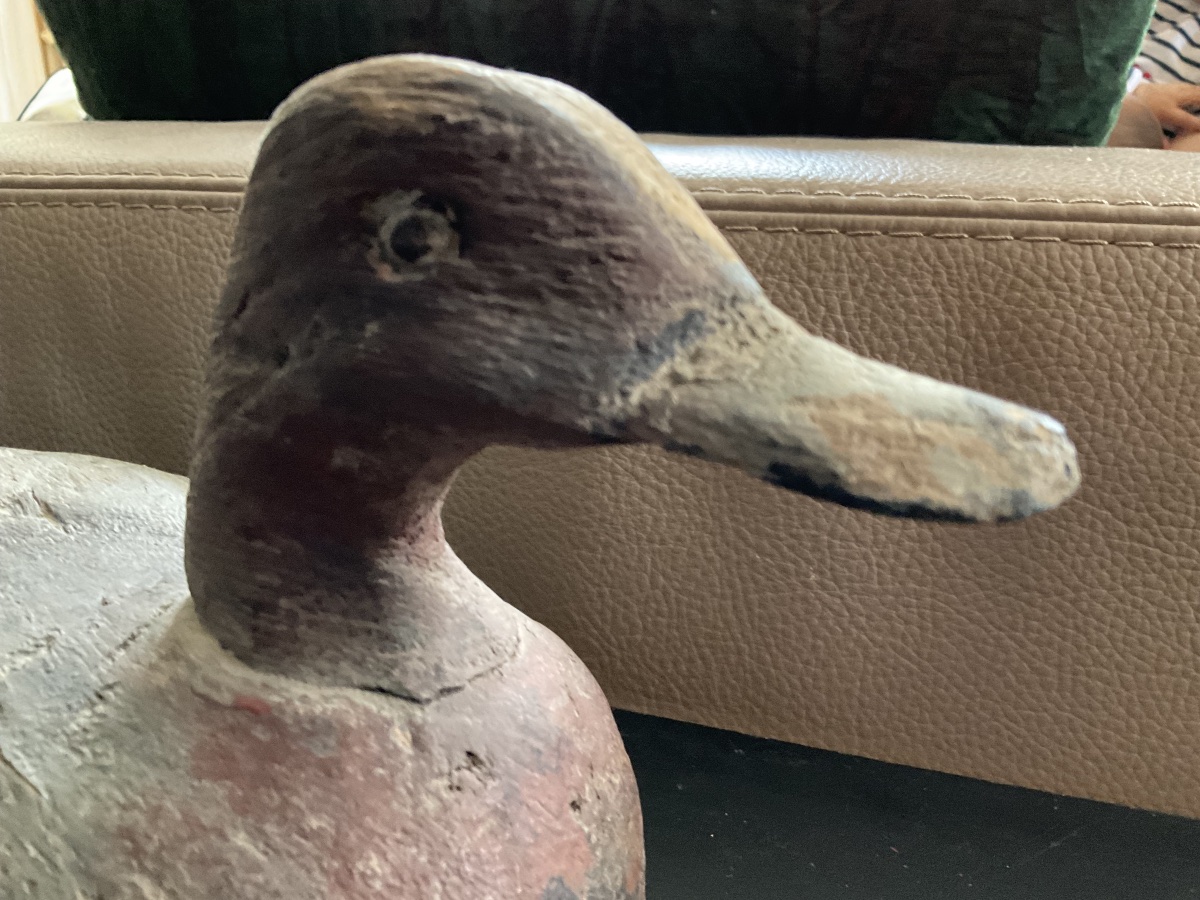 Rare appelant Albert Delory Saint Valéry sur Somme 