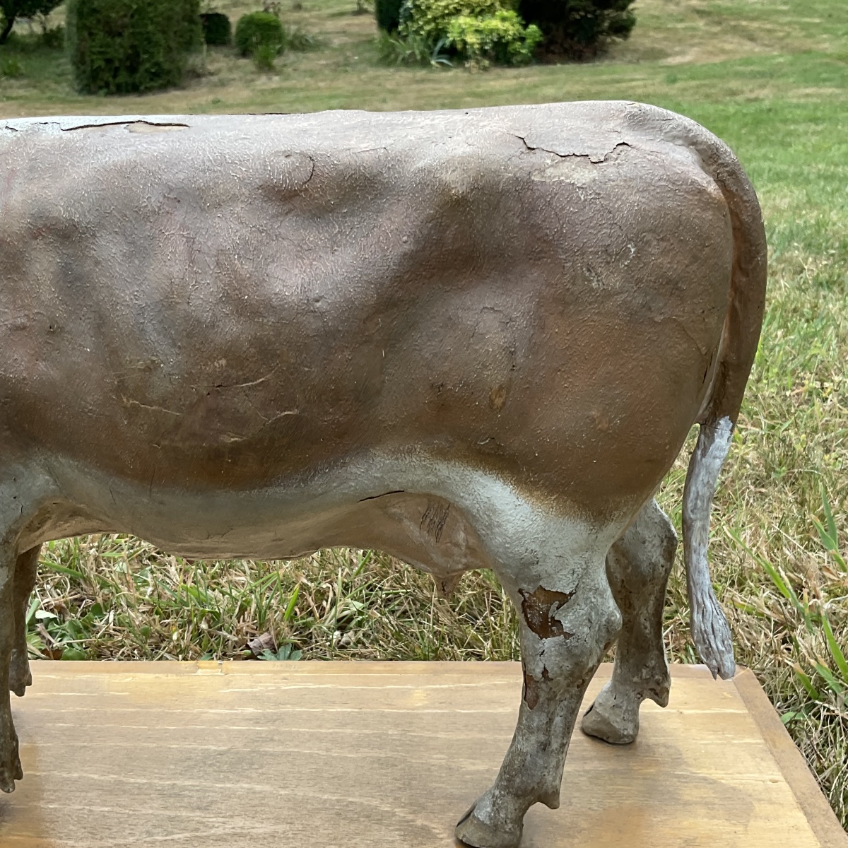 Vache sur planche dans l’etat-photo-3
