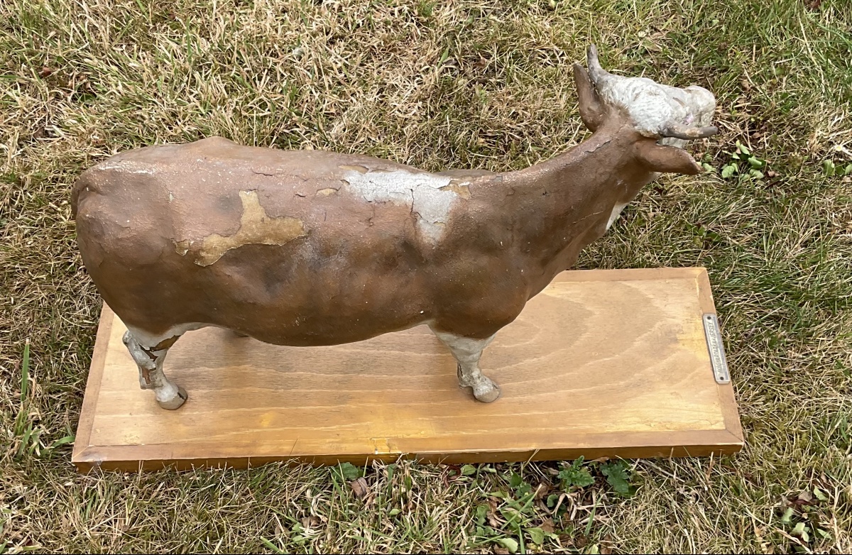 Vache sur planche dans l’etat-photo-4