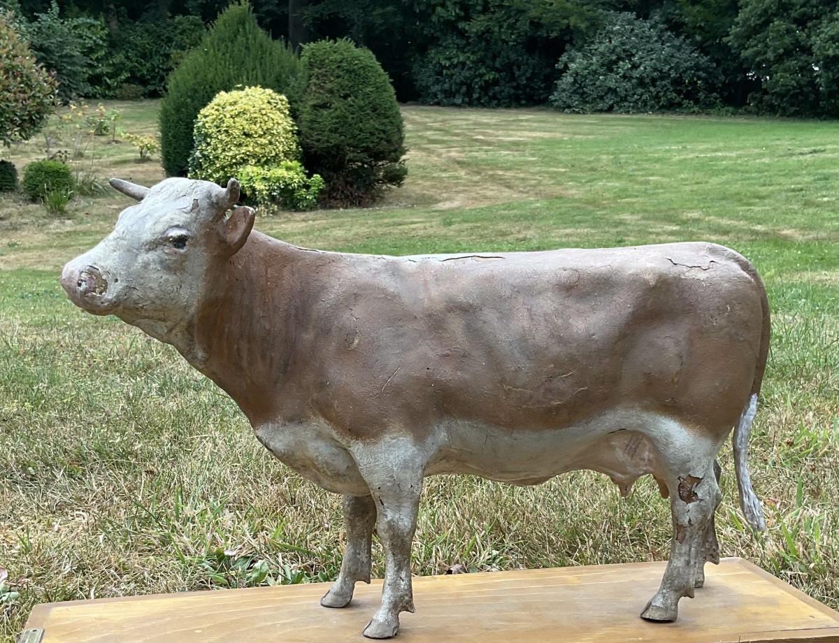 Vache sur planche dans l’etat-photo-5