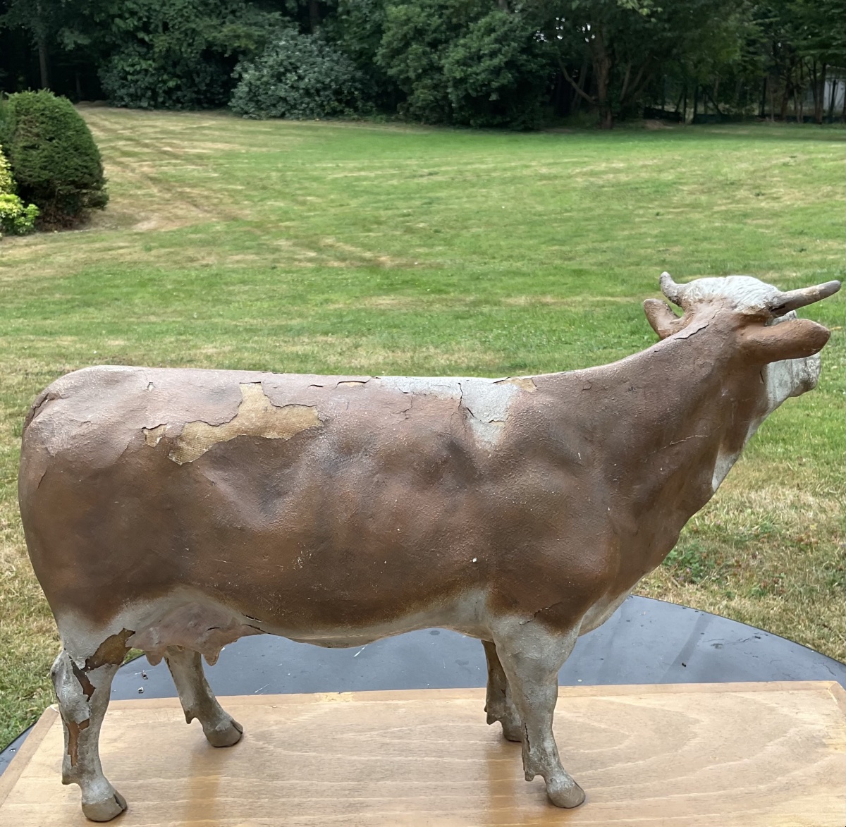 Vache sur planche dans l’etat-photo-6