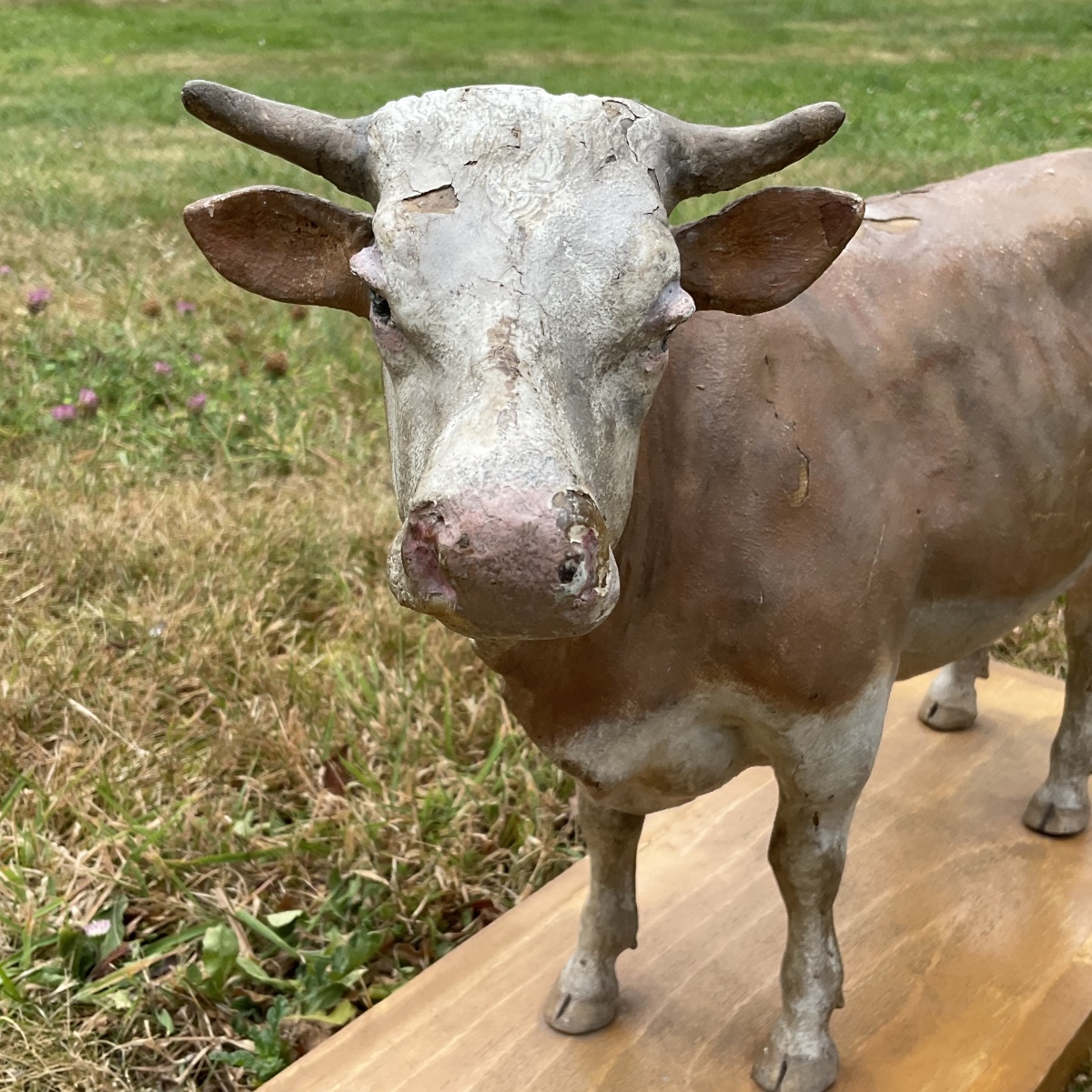 Vache sur planche dans l’etat