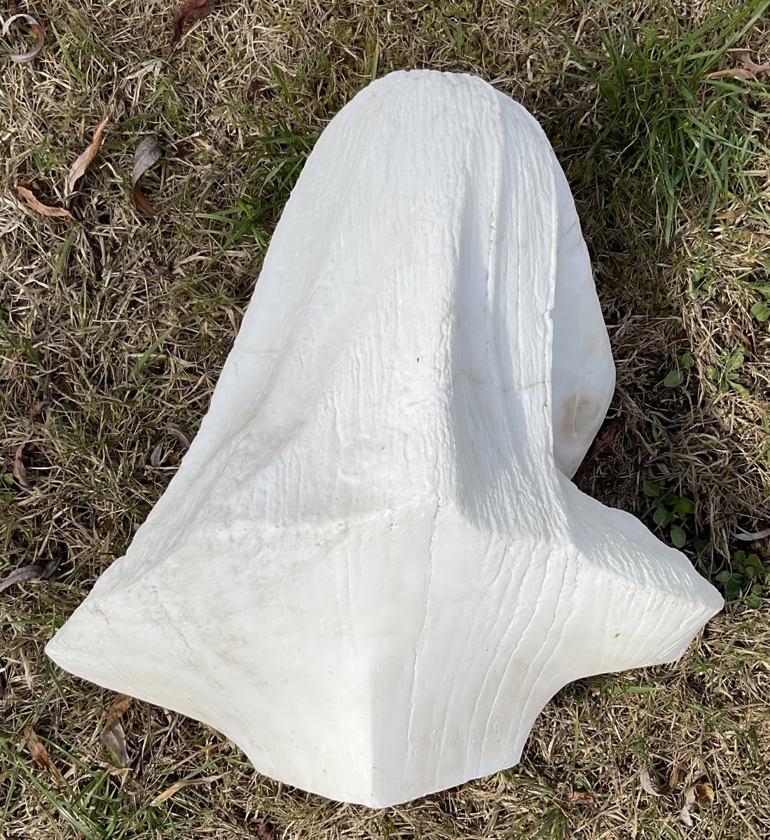 Bust Of A Woman In Alabaster And Marble-photo-1