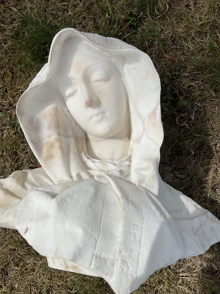 Bust Of A Woman In Alabaster And Marble