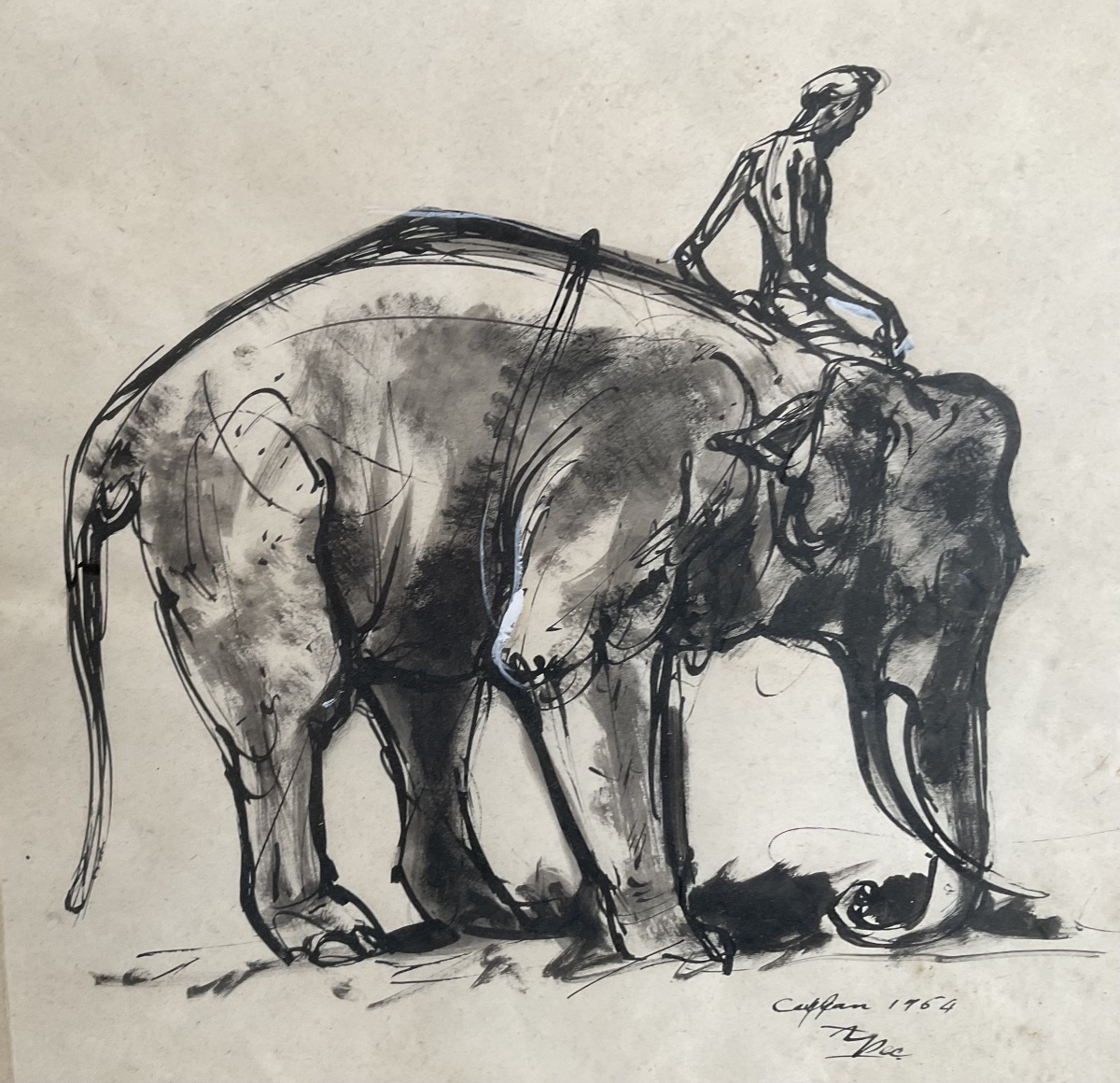 Elephant In India-photo-4