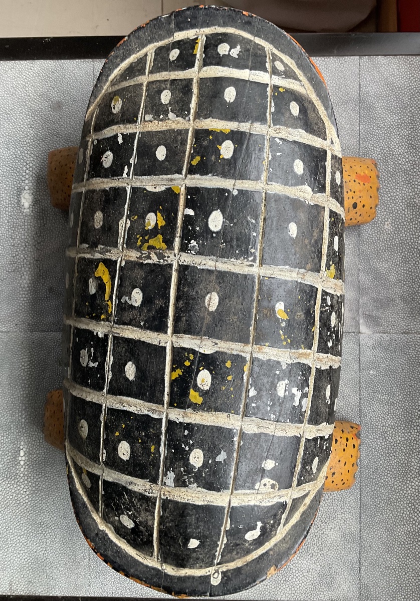 Bozo Turtle-photo-3