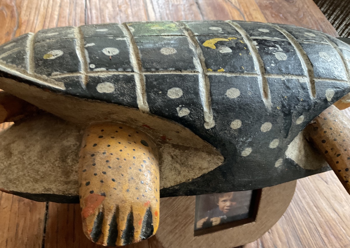 Bozo Turtle-photo-5