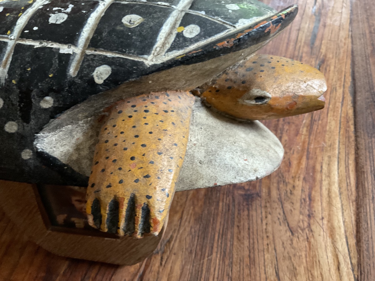 Bozo Turtle-photo-6